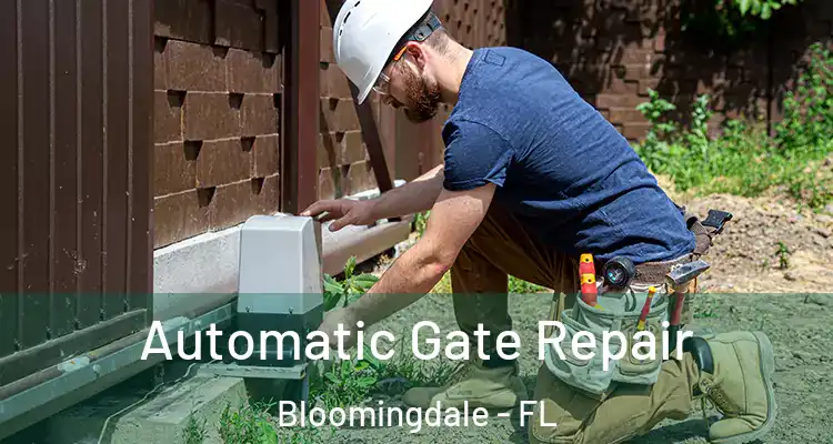  Automatic Gate Repair Bloomingdale - FL
