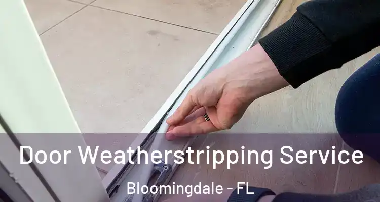  Door Weatherstripping Service Bloomingdale - FL