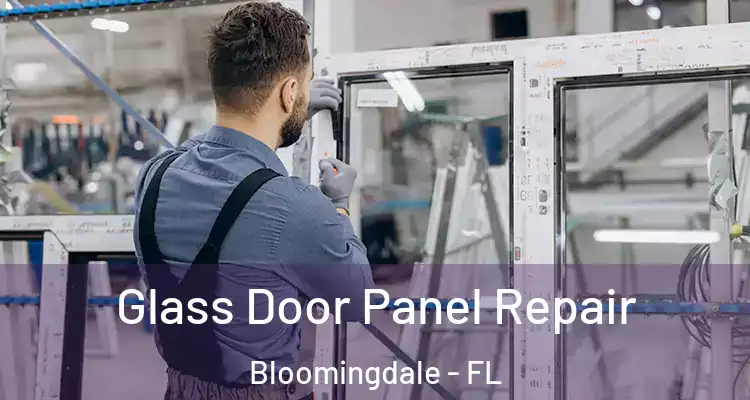  Glass Door Panel Repair Bloomingdale - FL