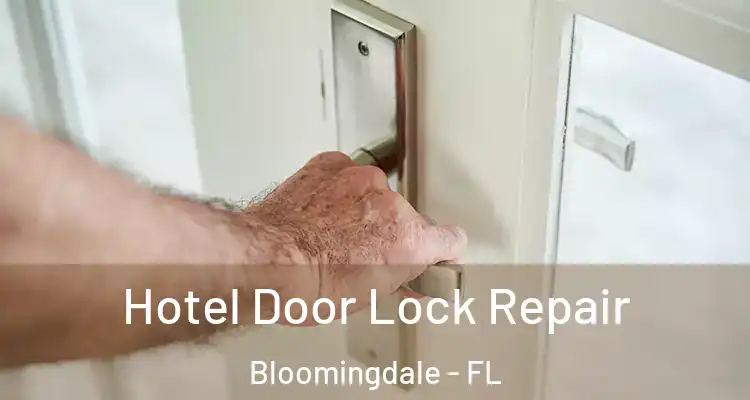  Hotel Door Lock Repair Bloomingdale - FL