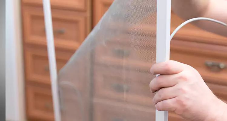 Privacy Mesh Screen Door Installation in Bloomingdale, FL