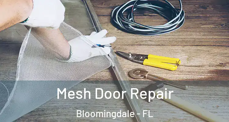  Mesh Door Repair Bloomingdale - FL