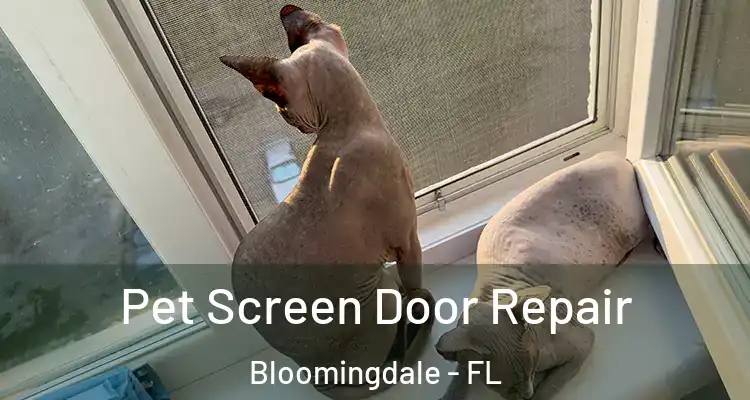  Pet Screen Door Repair Bloomingdale - FL