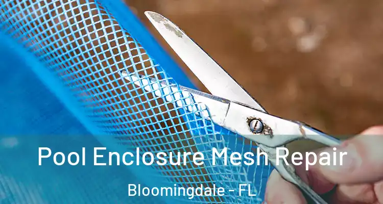  Pool Enclosure Mesh Repair Bloomingdale - FL