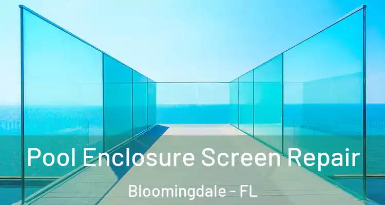  Pool Enclosure Screen Repair Bloomingdale - FL