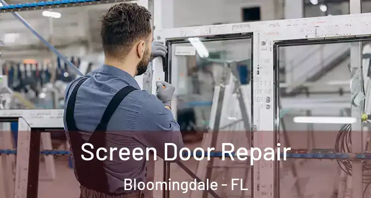  Screen Door Repair Bloomingdale - FL