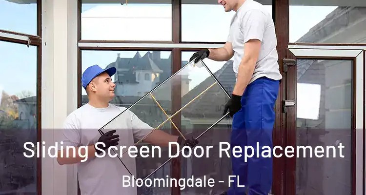  Sliding Screen Door Replacement Bloomingdale - FL